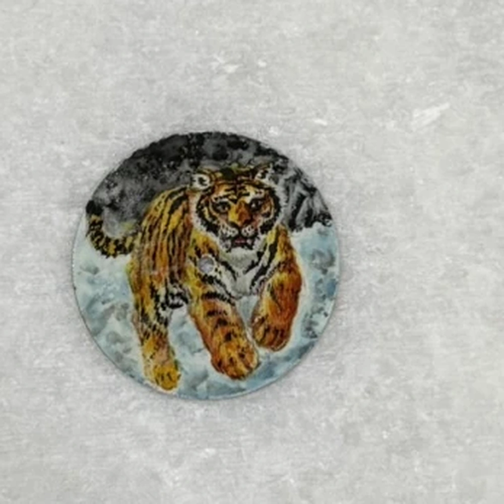 Stalking Shadow Tiger